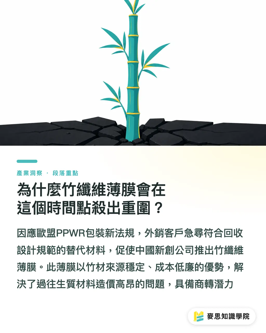 為什麼竹纖維薄膜會在這個時間點殺出重圍?|竹基包裝膜商轉:台灣包材廠的危機與轉機 段落重點