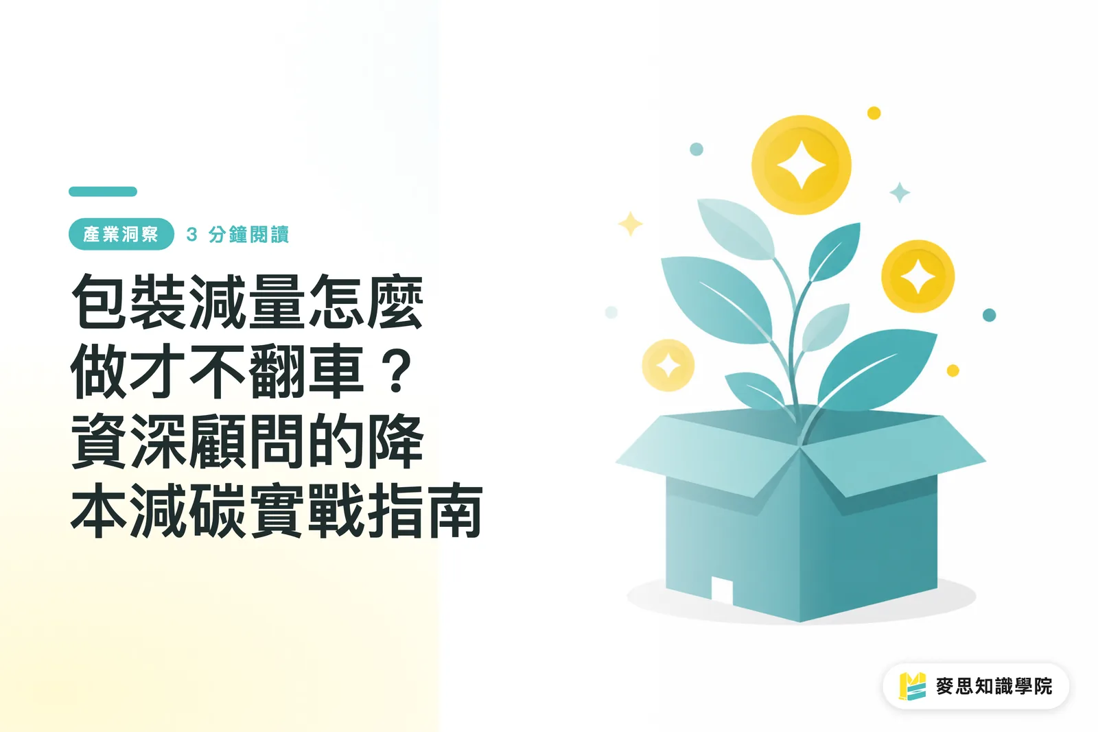 How to Reduce Packaging Without Backfiring? A Senior Consultant’s Guide to Cost-Efficient Decarbonization